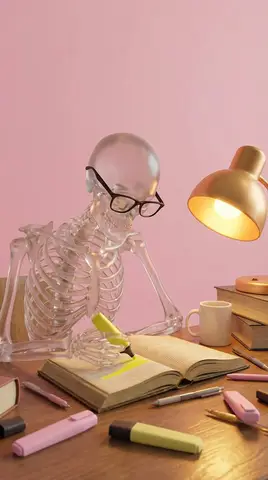Пример 3D-сцены со стеклянным скелетом, который выделяет текст в учебнике.