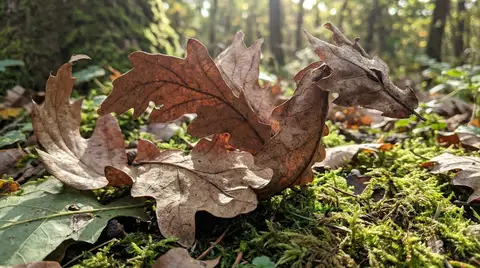 Промпт для фотореалистичного листа, похожего на дракона