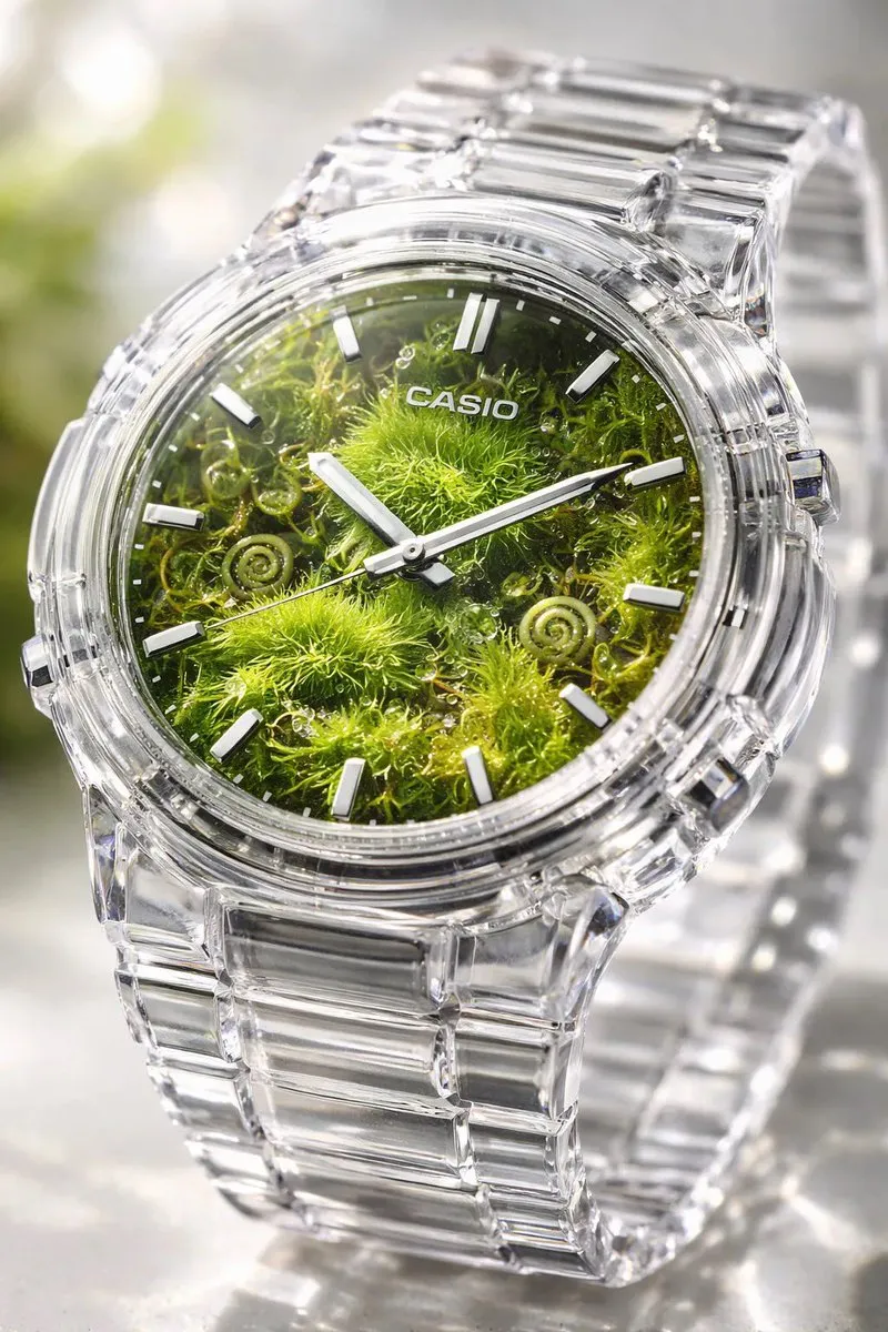 Прозрачные часы Casio с миниатюрным террариумом из мха, папоротников и микротравы. · пример 2